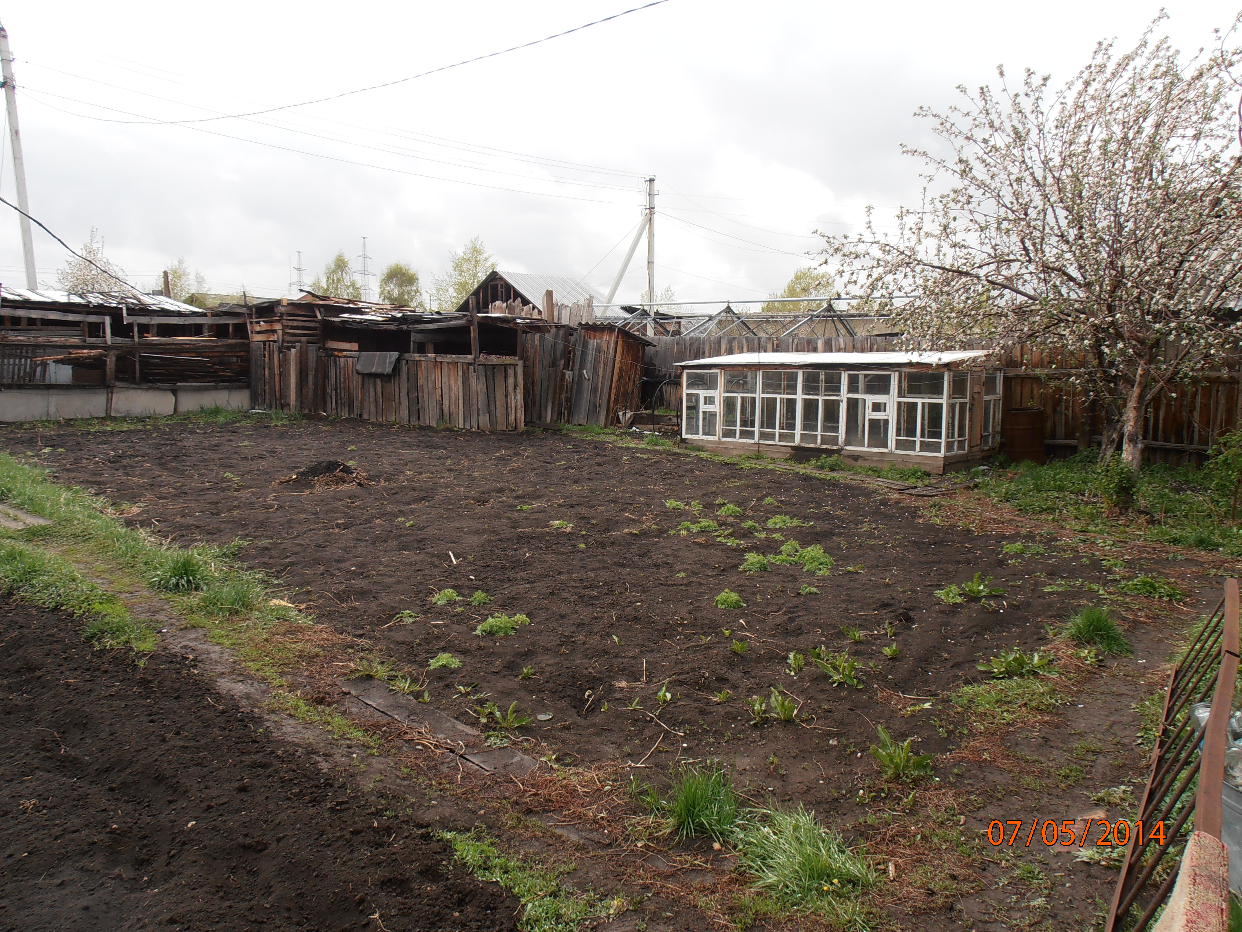 Саяногорск Инфо - p5070583.jpg, Скачано: 836