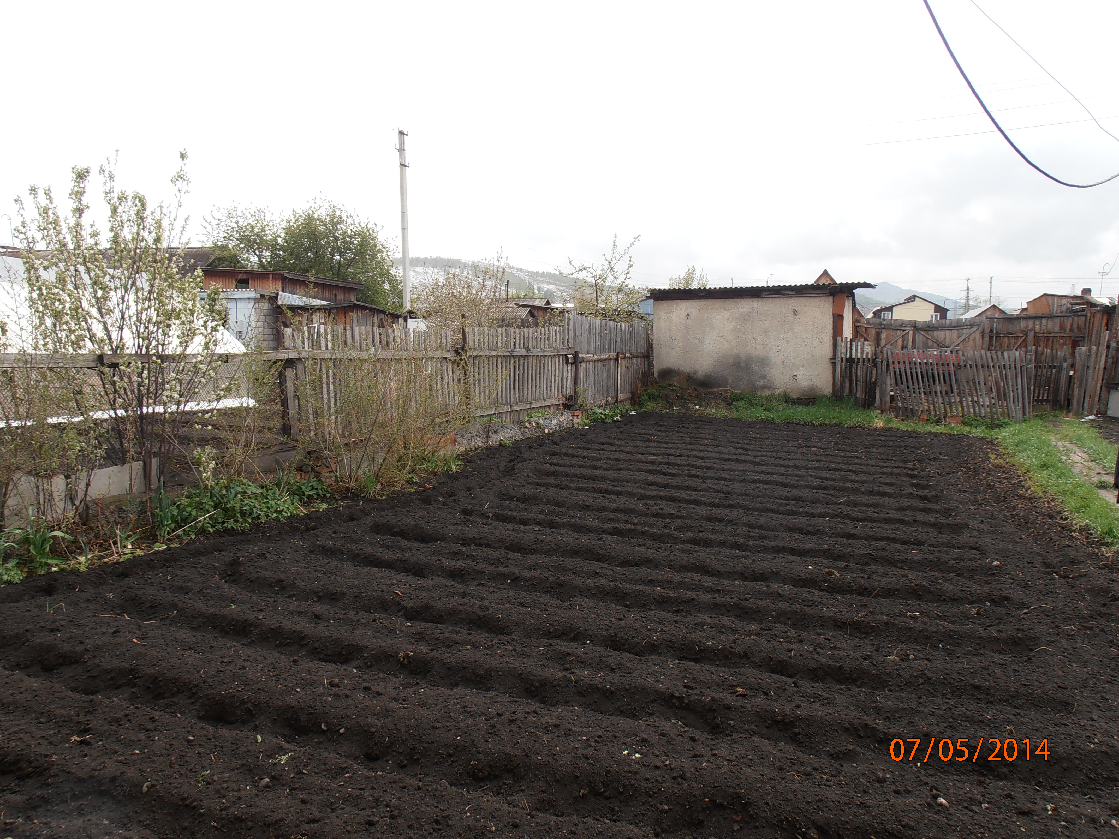 Саяногорск Инфо - p5070584.jpg, Скачано: 846