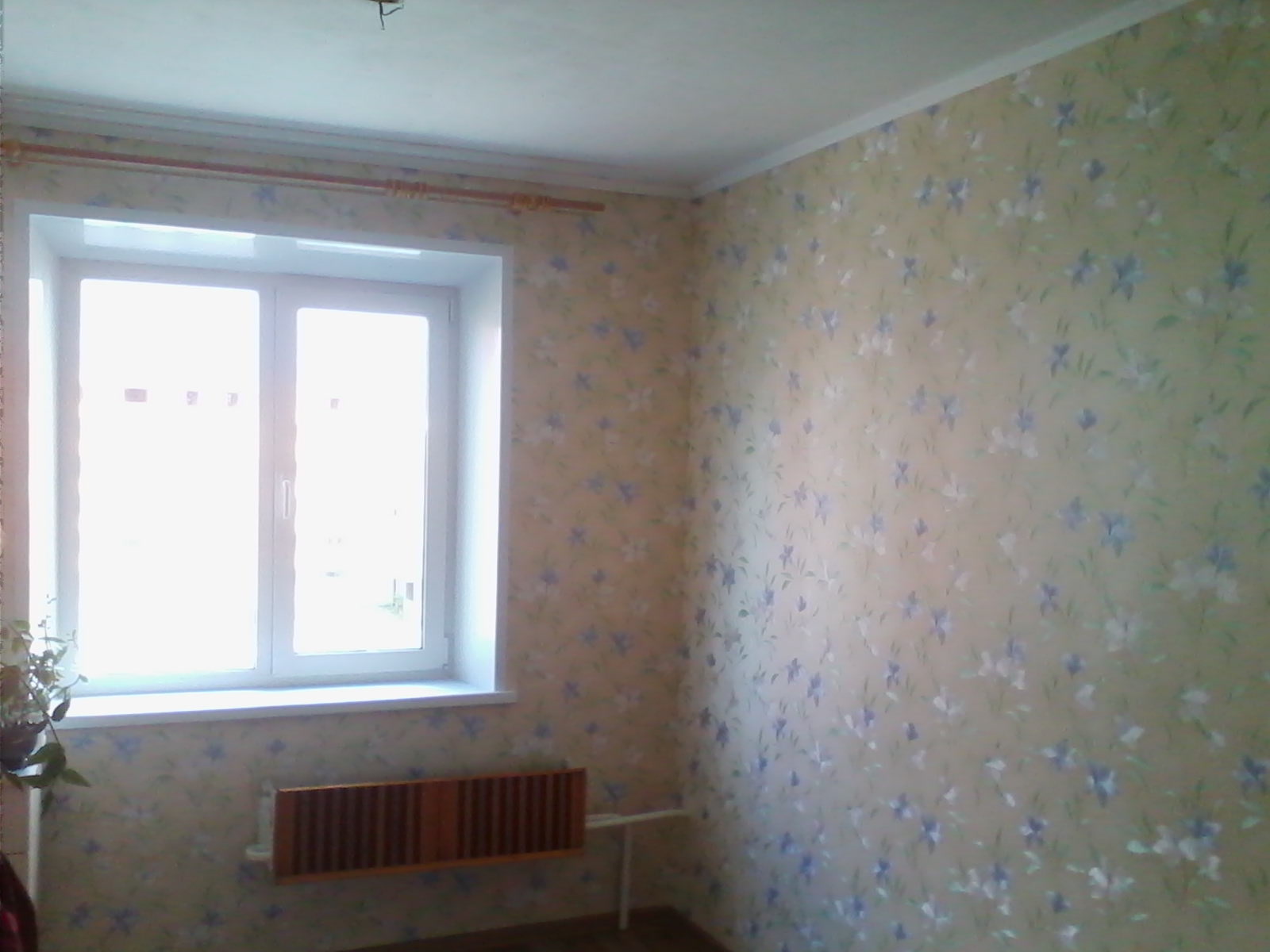Саяногорск Инфо - img_20140518_122903.jpg, Скачано: 985