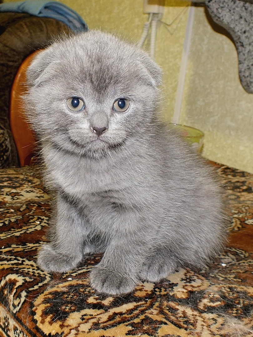 Саяногорск Инфо - dscf2421.jpg, Скачано: 1439