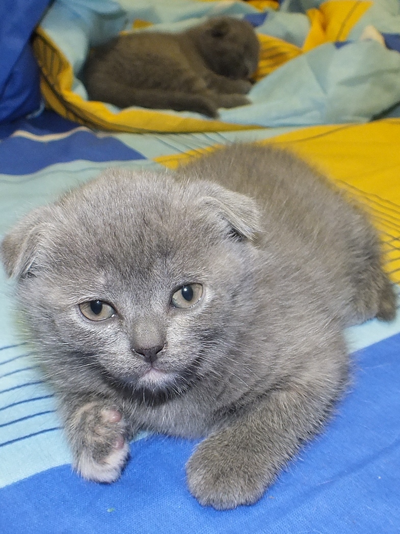 Саяногорск Инфо - dscf2440.jpg, Скачано: 519