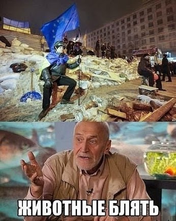 Саяногорск Инфо - 12.02.14-1-1-.jpg, Скачано: 272