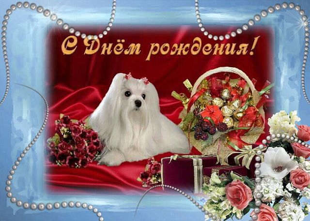 Саяногорск Инфо - s-dnem-rozhdeniya.jpg, Скачано: 297