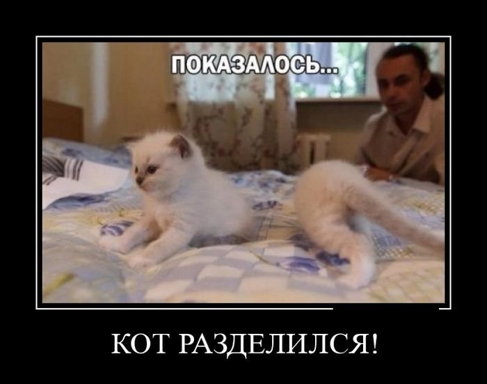 Саяногорск Инфо - 1410292657_16.jpg, Скачано: 187