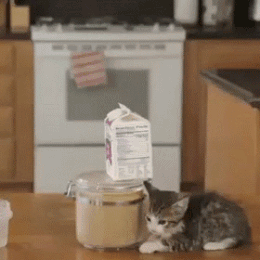 Саяногорск Инфо - gatos-1-.gif, Скачано: 188