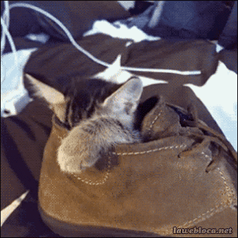 Саяногорск Инфо - newtechno-high-tech-hightech-de-villemandy.gif, Скачано: 197