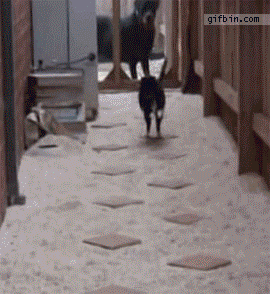 Саяногорск Инфо - aa89eedd8736.gif, Скачано: 104