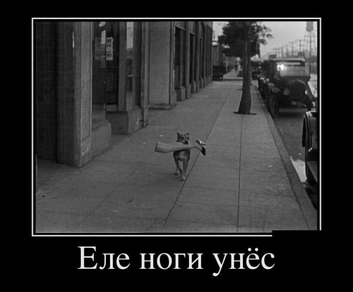 Саяногорск Инфо - 1413831206_28.jpg, Скачано: 212