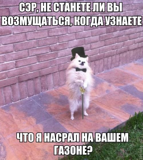 Саяногорск Инфо - 1413837134_pod3_65.jpg, Скачано: 217