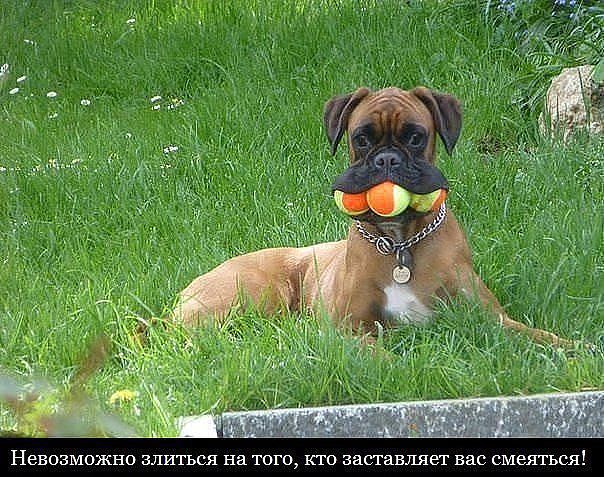 Саяногорск Инфо - 3myacha.jpg, Скачано: 187