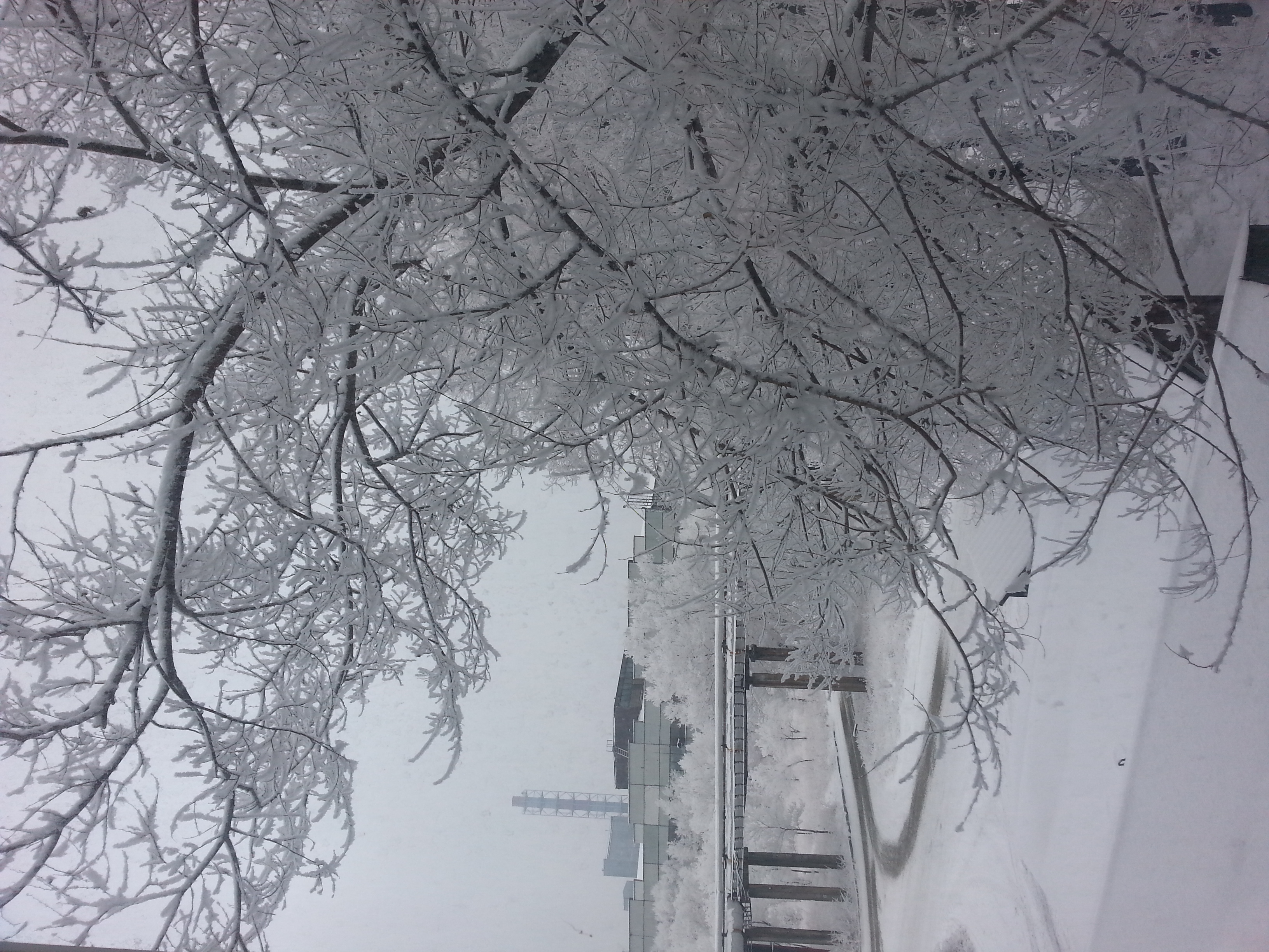 Саяногорск Инфо - 20141207_095835.jpg, Скачано: 91