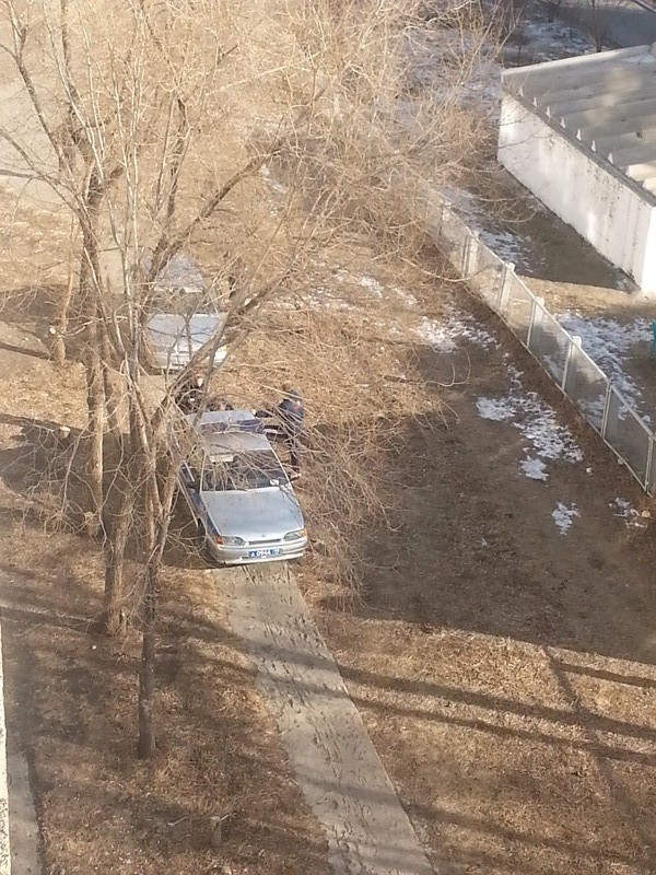 Саяногорск Инфо - 20150205_134825.jpg, Скачано: 692