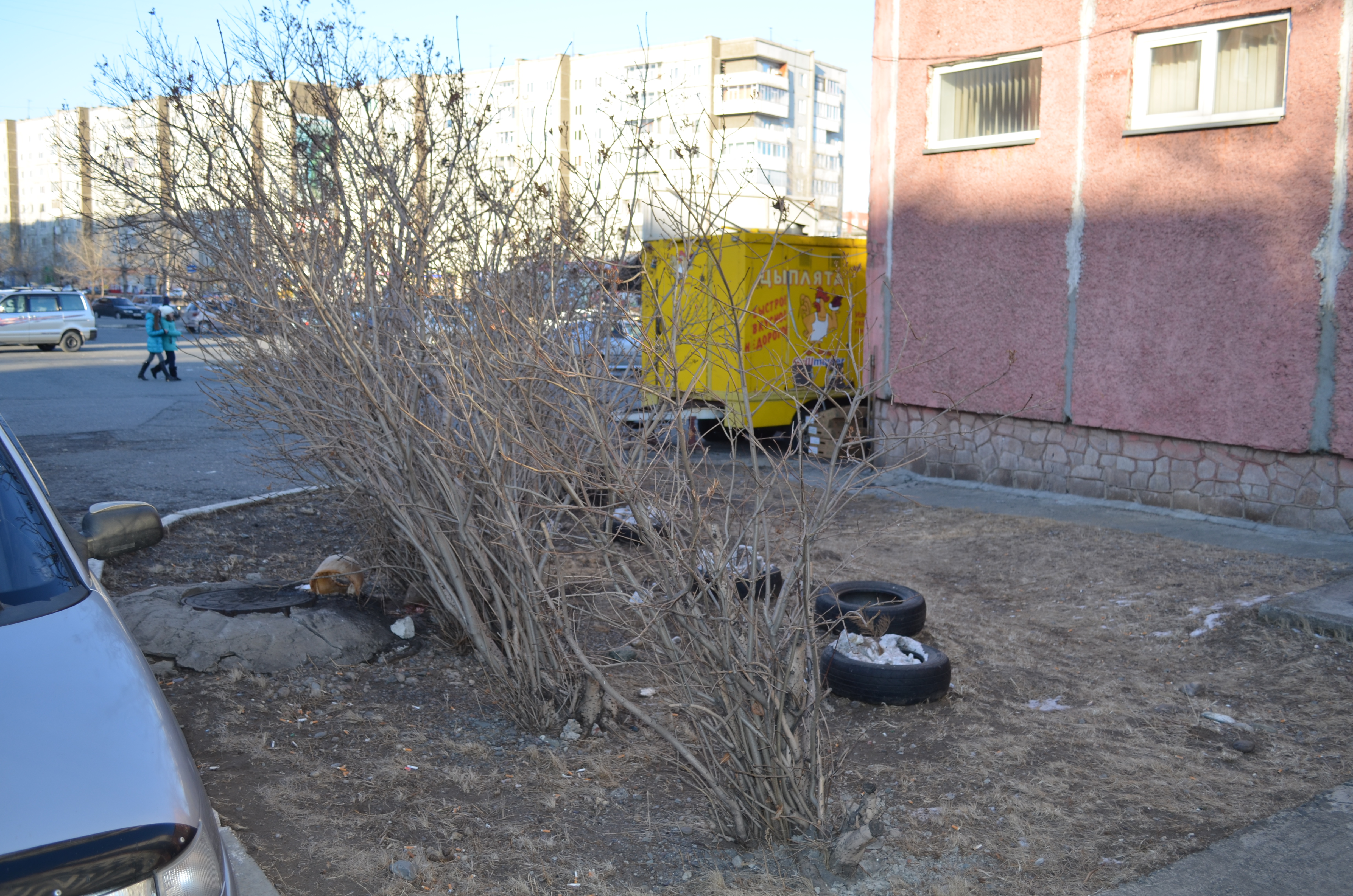Саяногорск Инфо - dsc_0929.jpg, Скачано: 332
