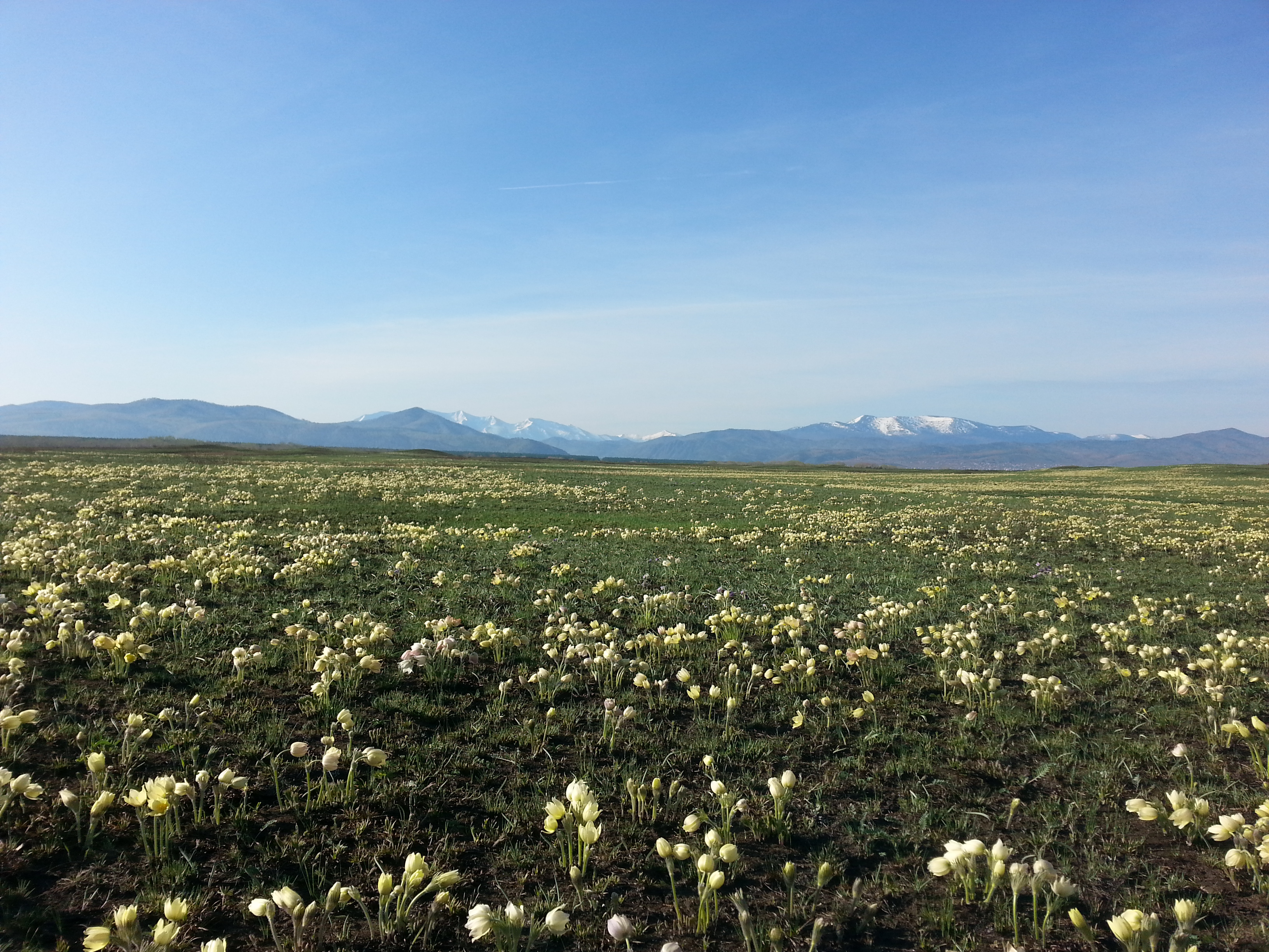 Саяногорск Инфо - 20150426_082238.jpg, Скачано: 147