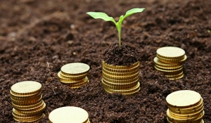 NetCredit