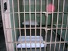 Двух жителей Хакасии будут судить за 1,5 килограмма гашиша