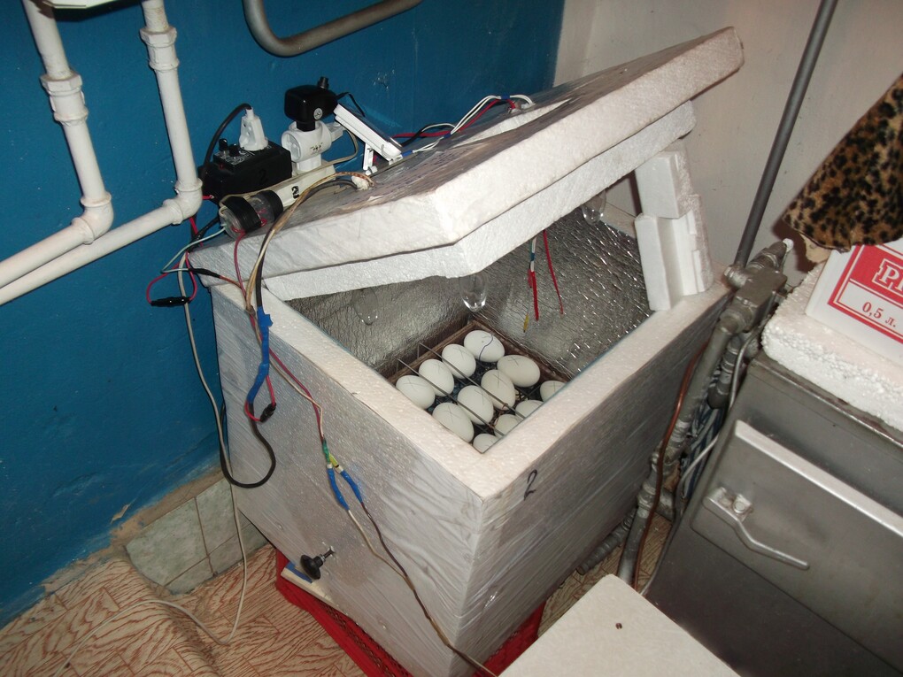 Саяногорск Инфо - Инкубатор своими руками - incubator.jpeg