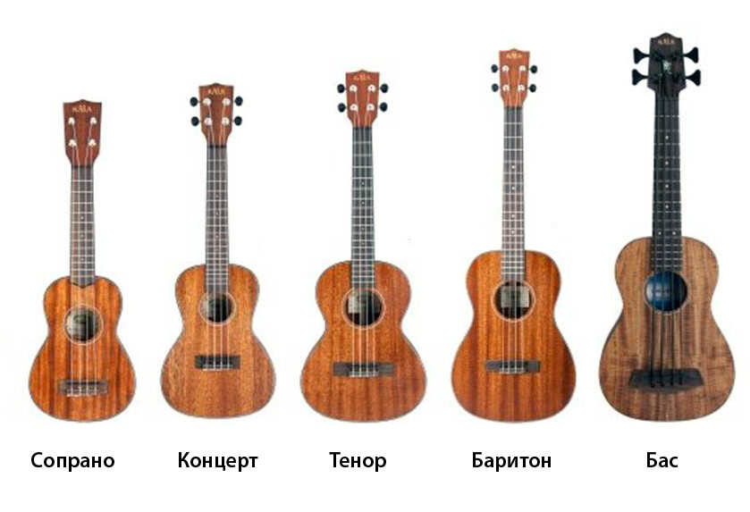 Саяногорск Инфо - История и разновидности гитар - guitar.jpg