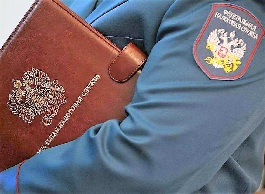 Саяногорск Инфо - Виды налоговых проверок: чего ожидать предпринимателям? - nalog.jpg