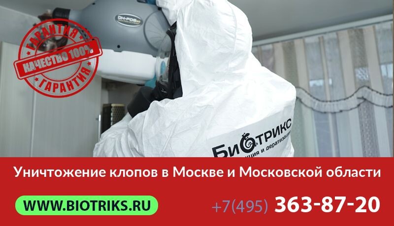 Саяногорск Инфо - Уничтожение клопов в Москве возле метро службой Биотрикс - выгодные цены! - klop.jpg
