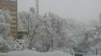 Весенние текстуры не могут прогрузиться в Хакасии