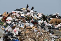 Повезло: мусор Саяногорска отдали в руки республики