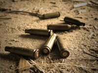 В Австрии неизвестный открыл огонь по толпе во время концерта