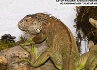 Краеведческий музей Саяногорска создал контактный зоопарк
