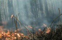 В Хакасии снова введен особый противопожарный режим