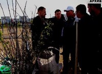 «Зеленая волна» Саяногорска ждет новых участников