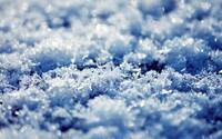 В Саяно-Шушенском заповеднике выпал снег