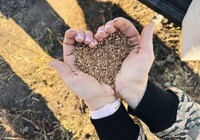 В Верх-Таштыпе и Абазе высеяли лиственницу