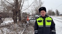 В Белом Яре водитель погиб, врезавшись в дерево