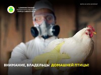 Внимание, владельцы домашней птицы!