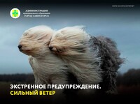 Экстренное предупреждение от 27.10.2026 (сильный ветер)