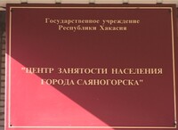 Саяногорцы выбирают самозанятость