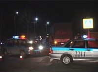 Виновником ДТП в Саяногорске стала собака