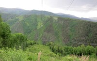 МЭС Сибири расчистят почти 900 га трасс ЛЭП в Хакасии, Тыве и на юге Красноярского края