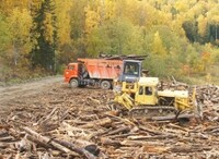 Древесный хлам подлежит захоронению