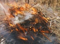 Пожарные напомнили саяногорским дачникам правила безопасности