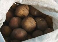 Первая партия гуманитарной помощи уже отправлена пострадавшим от паводка