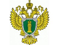 Назначен прокурор Алтайского района