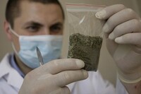 В Саяногорске патруль случайно обнаружил у прохожих полкилограмма марихуаны