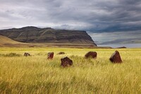 Жителей Хакасии приглашают на экскурсию по республике