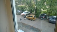 Саяногорск Инфо - Присоединённое изображение