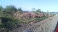 Саяногорск Инфо - Присоединённое изображение