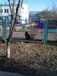 Саяногорск Инфо - Присоединённое изображение