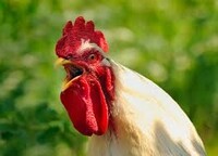 Саяногорск Инфо - Присоединённое изображение