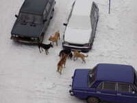 Саяногорск Инфо - Присоединённое изображение