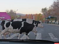 Саяногорск Инфо - Присоединённое изображение